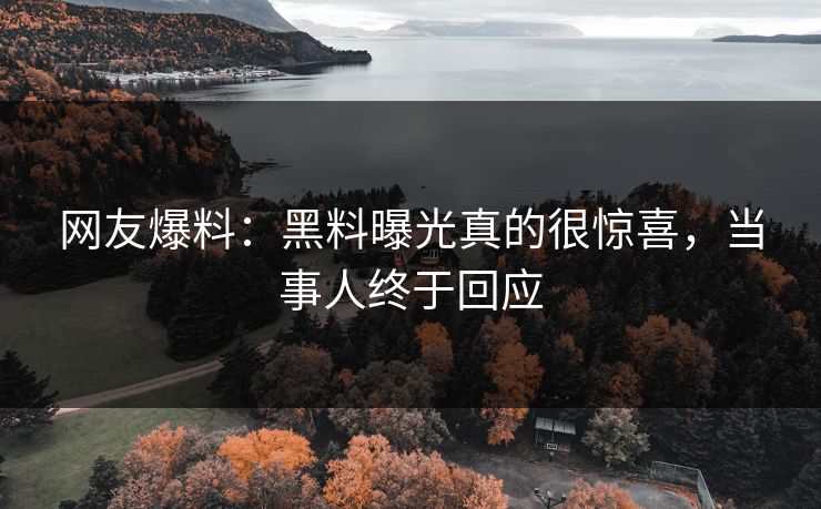 网友爆料：黑料曝光真的很惊喜，当事人终于回应