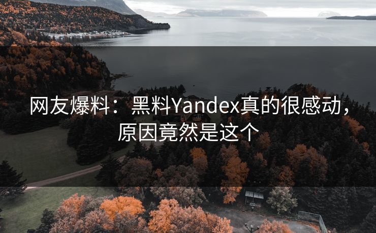 网友爆料：黑料Yandex真的很感动，原因竟然是这个