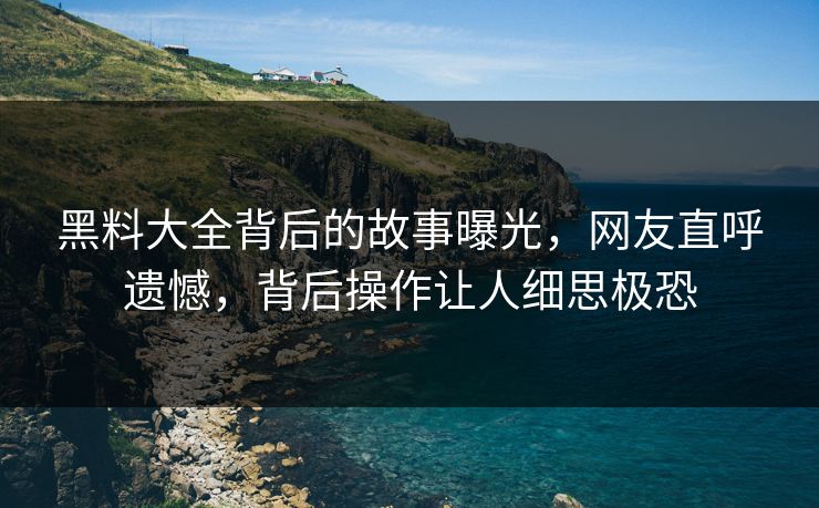 黑料大全背后的故事曝光，网友直呼遗憾，背后操作让人细思极恐