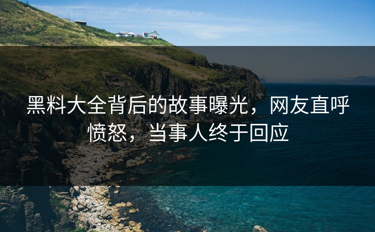 黑料大全背后的故事曝光，网友直呼愤怒，当事人终于回应