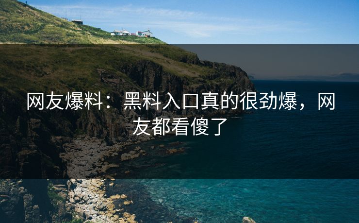 网友爆料：黑料入口真的很劲爆，网友都看傻了