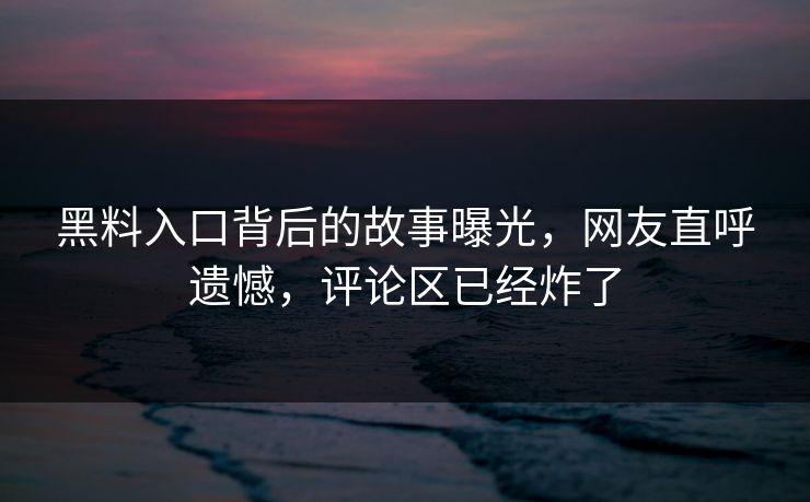 黑料入口背后的故事曝光，网友直呼遗憾，评论区已经炸了