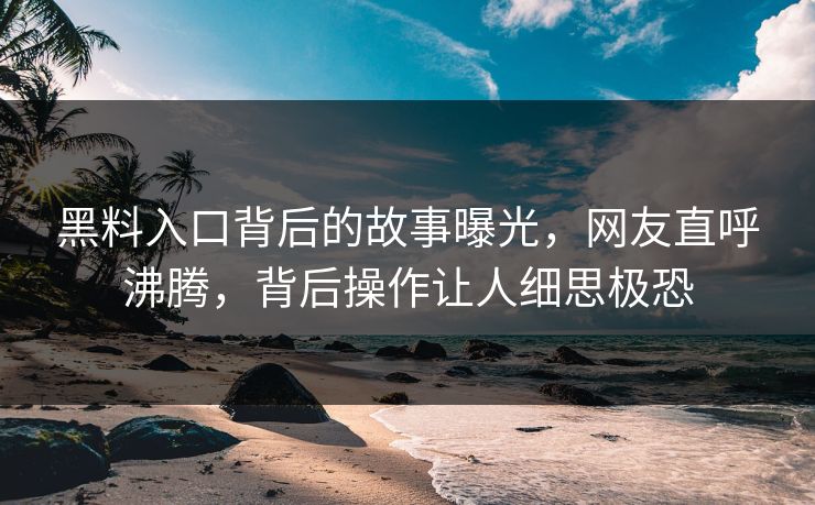 黑料入口背后的故事曝光，网友直呼沸腾，背后操作让人细思极恐