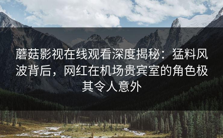 蘑菇影视在线观看深度揭秘：猛料风波背后，网红在机场贵宾室的角色极其令人意外