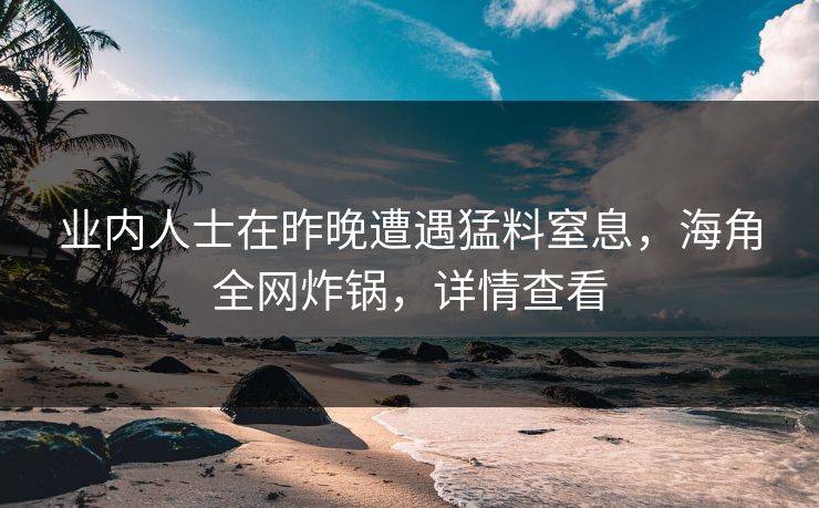 业内人士在昨晚遭遇猛料窒息，海角全网炸锅，详情查看