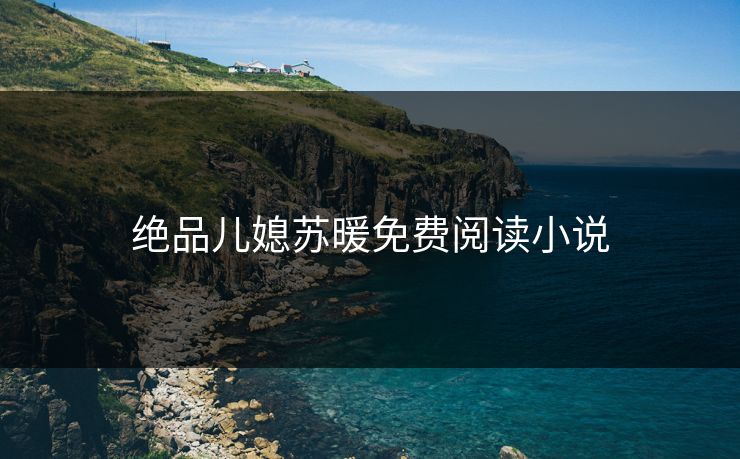 绝品儿媳苏暖免费阅读小说