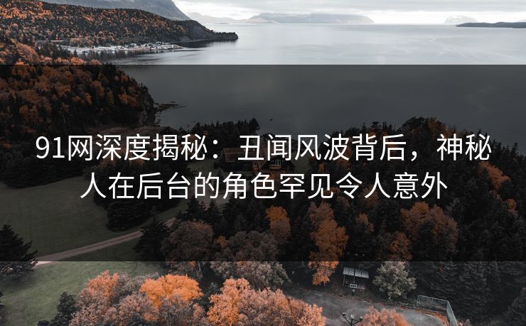 91网深度揭秘：丑闻风波背后，神秘人在后台的角色罕见令人意外