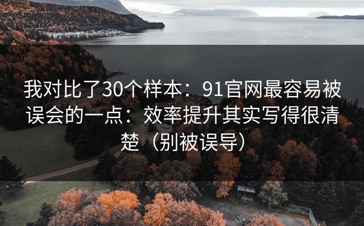 我对比了30个样本：91官网最容易被误会的一点：效率提升其实写得很清楚（别被误导）